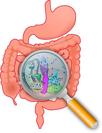 20180419 intestino sano2