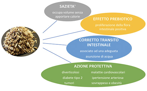 fibre1